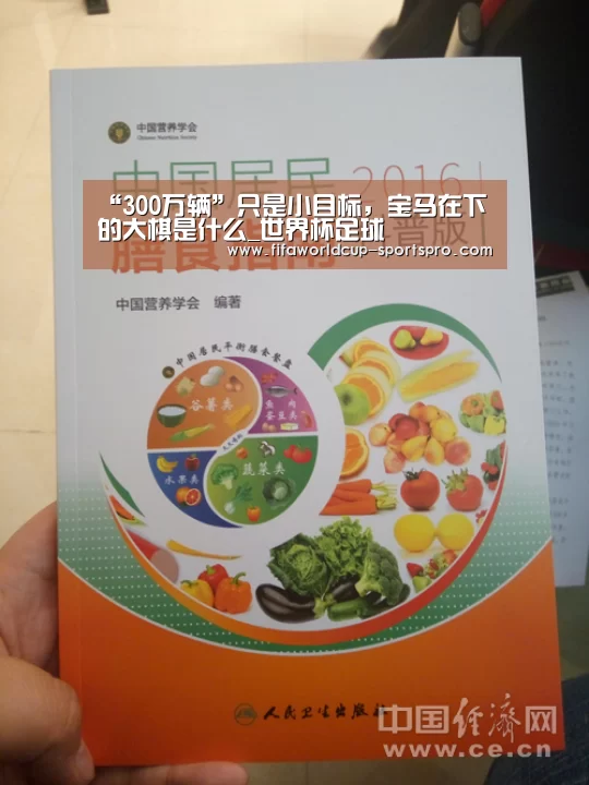 “300万辆”只是小目标,宝马在下的大棋是什么_世界杯足球(图4) 世界杯足球