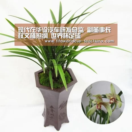 现代在华设汽车研发总监 副董事长权文植担纲_世界杯足球(图1) 世界杯足球