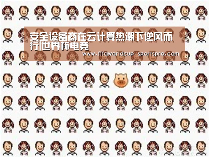 安全设备商在云计算热潮下逆风而行|世界杯电竞(图1) 世界杯足球